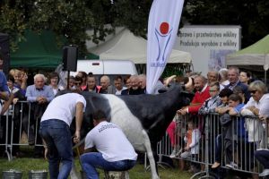 Święto Darów Ziemi Wola Kiełpińska 2018