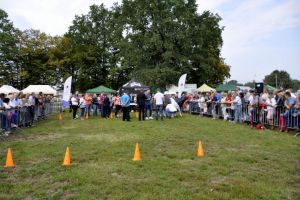 Święto Darów Ziemi Wola Kiełpińska 2018