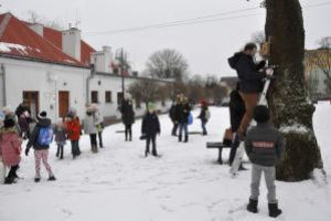 Warsztaty budowania budek lęgowych dla ptaków