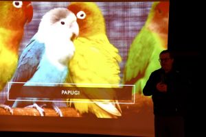Ferie zimowe 2020-wszystko o papugach wykład weterynarza.