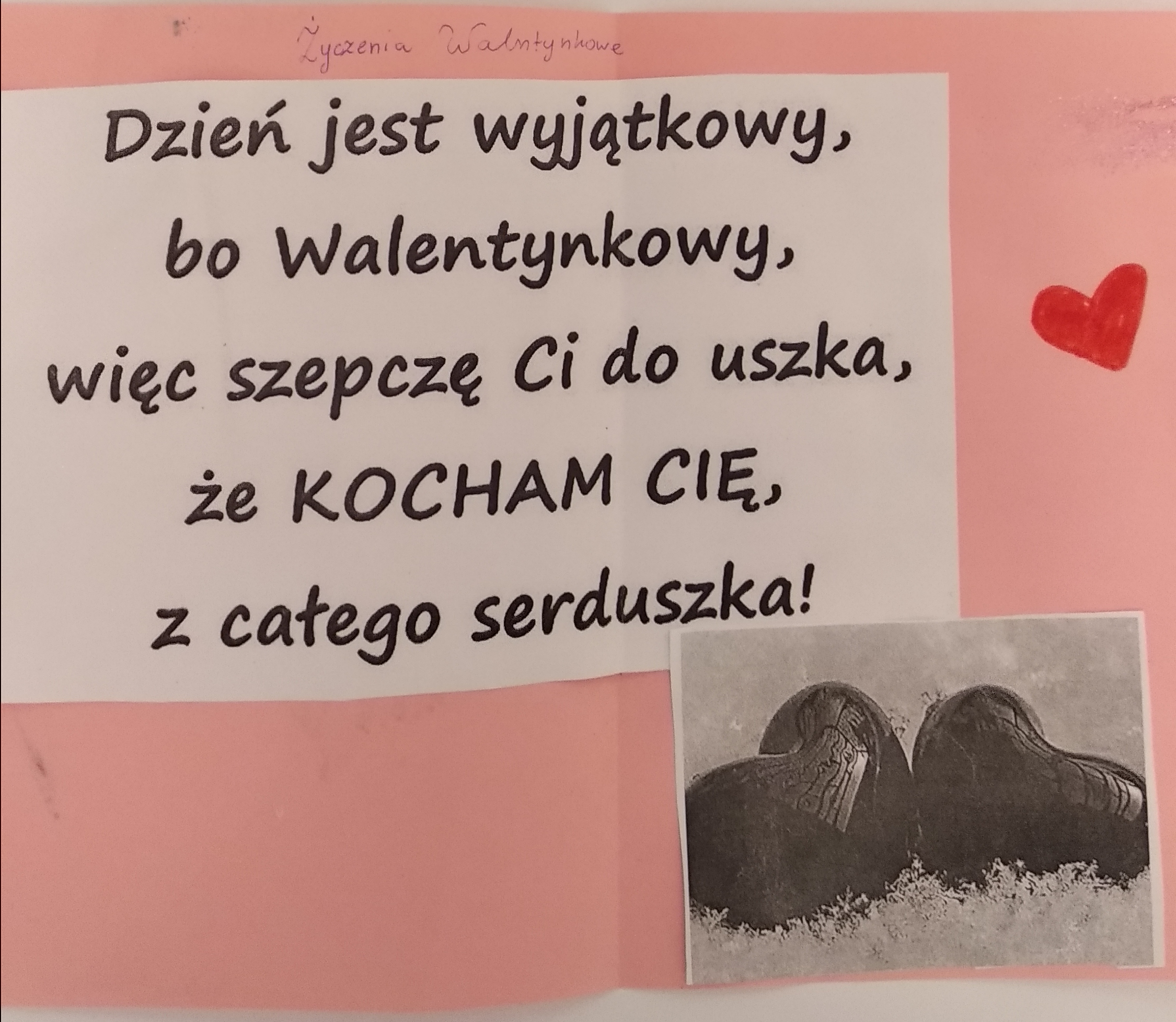 Paulina Gajewska lat 11, kl. V, Szkoła Podstawowa w Serocku