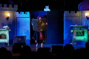 Teatr Młodego Widza:  "Wszyscy na jednego" Teatr Bajaderka