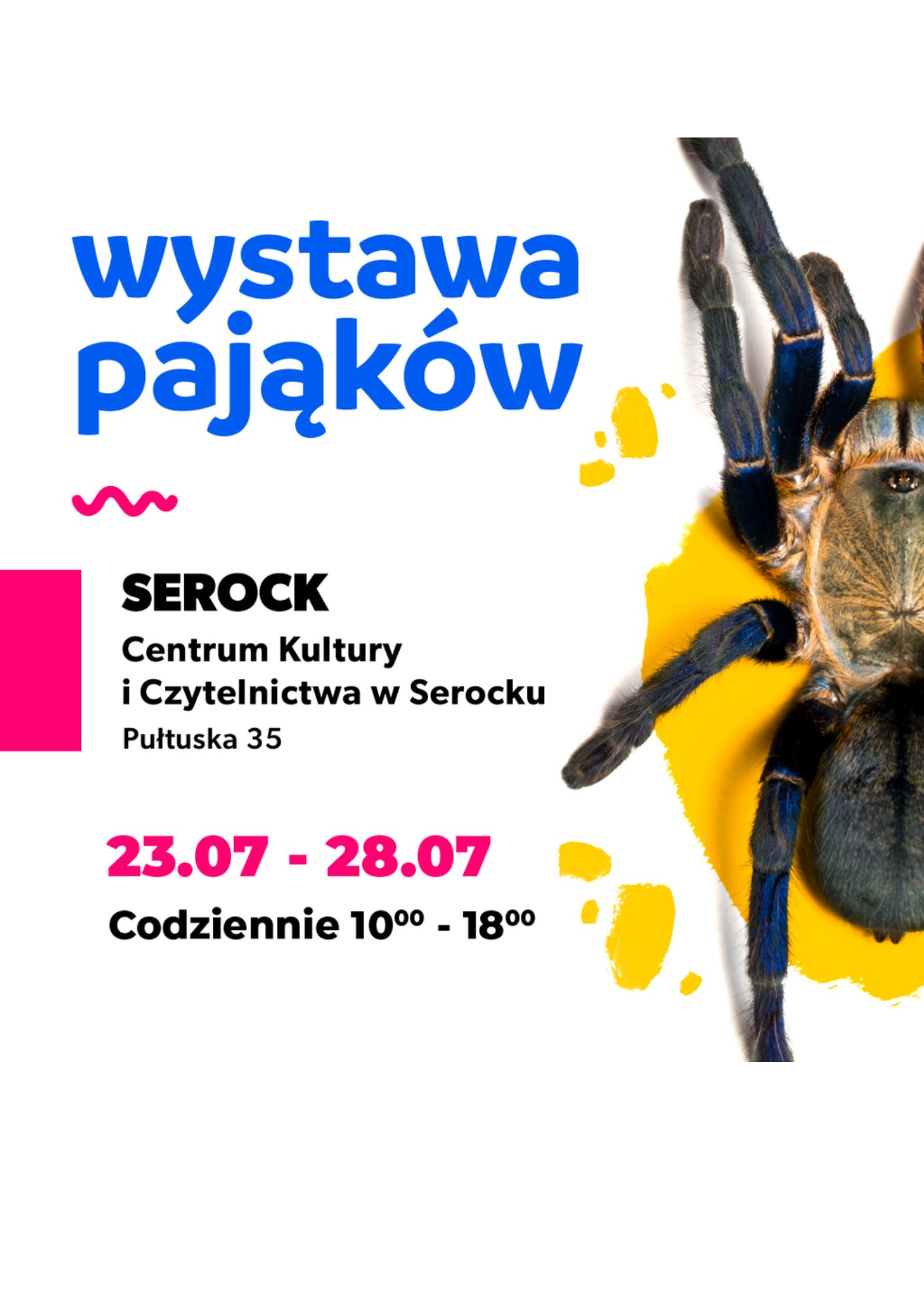 Wystawa pająków!