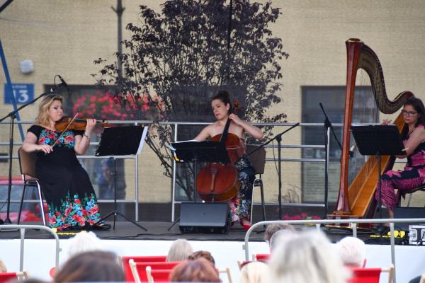 Fontanna Muzyki z "Trio Delicamente"